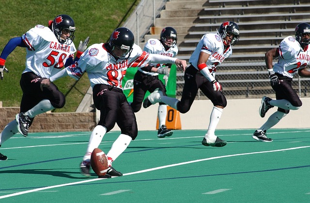 像拉菲尼亚 像拉菲尼亚