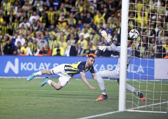 添一位世界 添一位世界