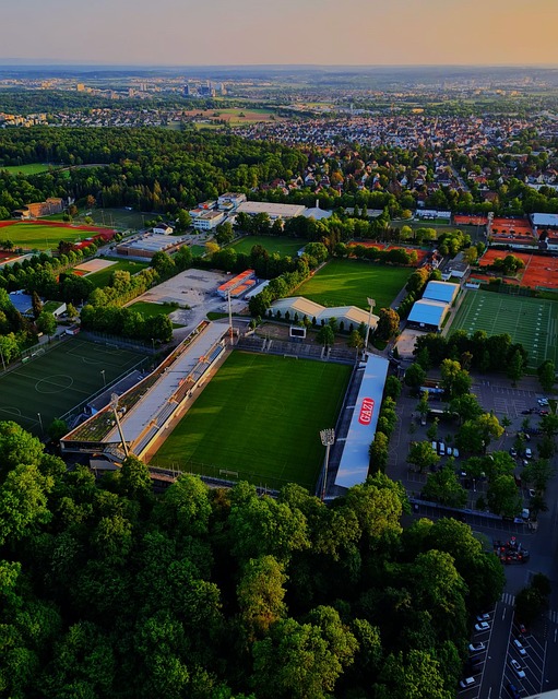 通过对比我 通过对比我