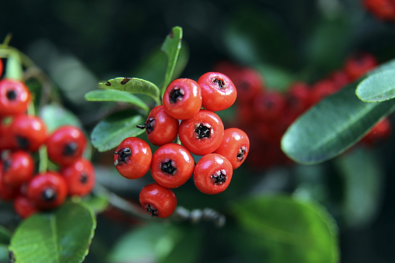 受到处罚的 受到处罚的