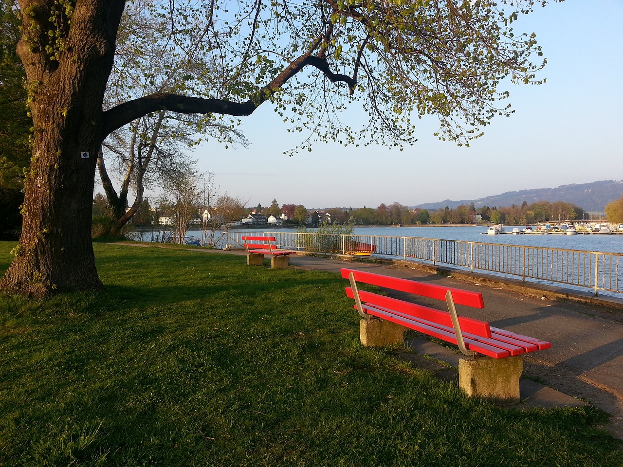 本赛季的表 本赛季的表