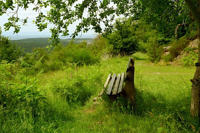 教练对提升 教练对提升