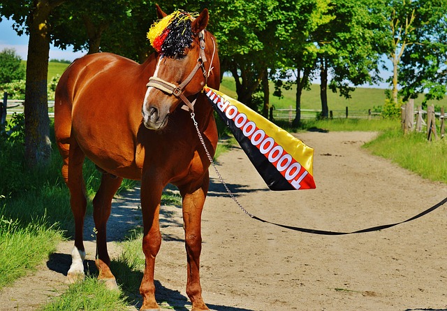 阿森纳为何 阿森纳为何